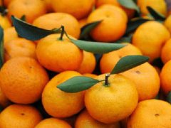 柑橘类水果的饮食禁忌